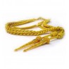 Aiguillette