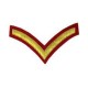 Hand Embroidered Bullion Stripe Chevrons