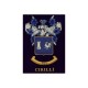 Embroidered Family Crest - Coat Of Arms