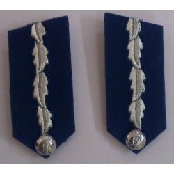 Grenadier Guard Blazer Embroidery Blue Badge Pair