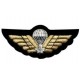 Hand Embroidered Wings Badges Style 01
