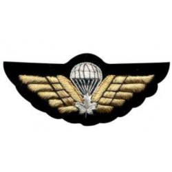 Hand Embroidered Wings Badges Style 01