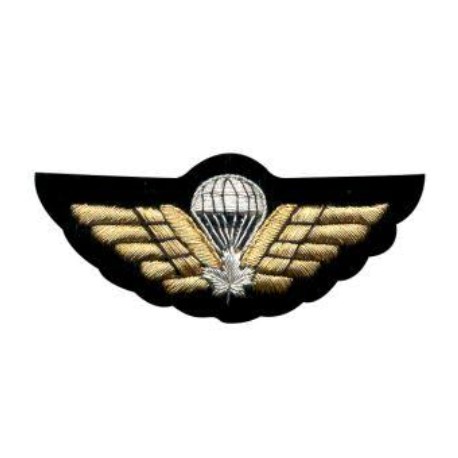 Hand Embroidered Wings Badges Style 01