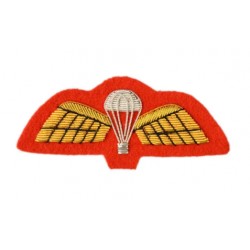 Hand Embroidered Wings Badges Style 01