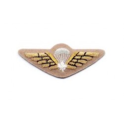 Hand Embroidered Wings Badges Style 01