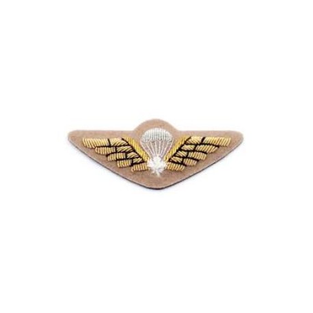 Hand Embroidered Wings Badges Style 01