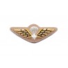 Hand Embroidered Wings Badges Style 01