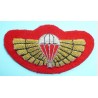 Hand Embroidered Wings Badges Style 01