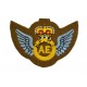 Hand Embroidered Wings Badges Style 01