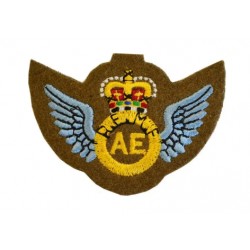 Hand Embroidered Wings Badges Style 01