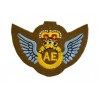 Hand Embroidered Wings Badges Style 01