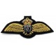 Hand Embroidered Wings Badges Style 01