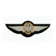 Hand Embroidered Wings Badges Style 01