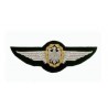 Hand Embroidered Wings Badges Style 01