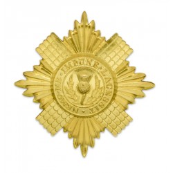 Brass / Metal Badge