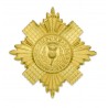 Brass / Metal Badge