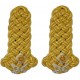 Royal Highland Fusiliers Shoulder Cords