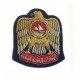 Cap Badge "United Arab Emirate"