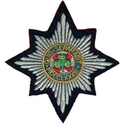 Irish Guards Hand-Embroidered Collar Badge Pair